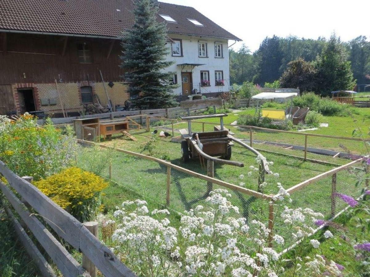 Carlo Wangen im Allgäu Exterior foto