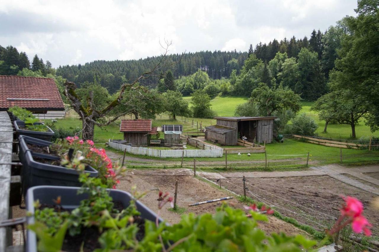 Carlo Wangen im Allgäu Exterior foto